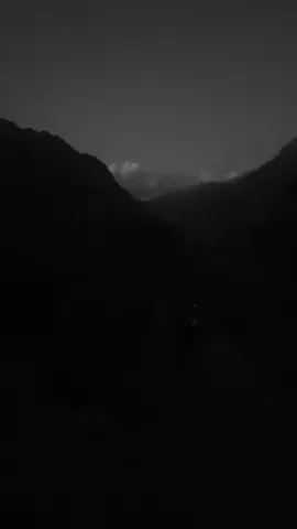 #CapCut 