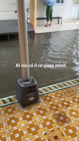 Canh chua cá lóc