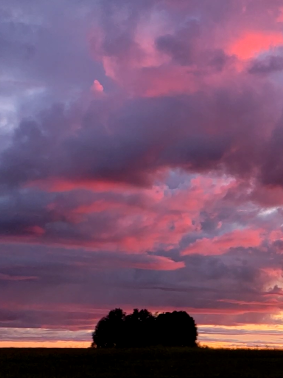 There are many ideas that happiness depends on external circumstances or the number of people in our lives. However, being alone does not necessarily mean being unhappy. For many people, being alone becomes a source of inspiration, self-determination, and deep understanding of themselves.    The first thing to understand is that 