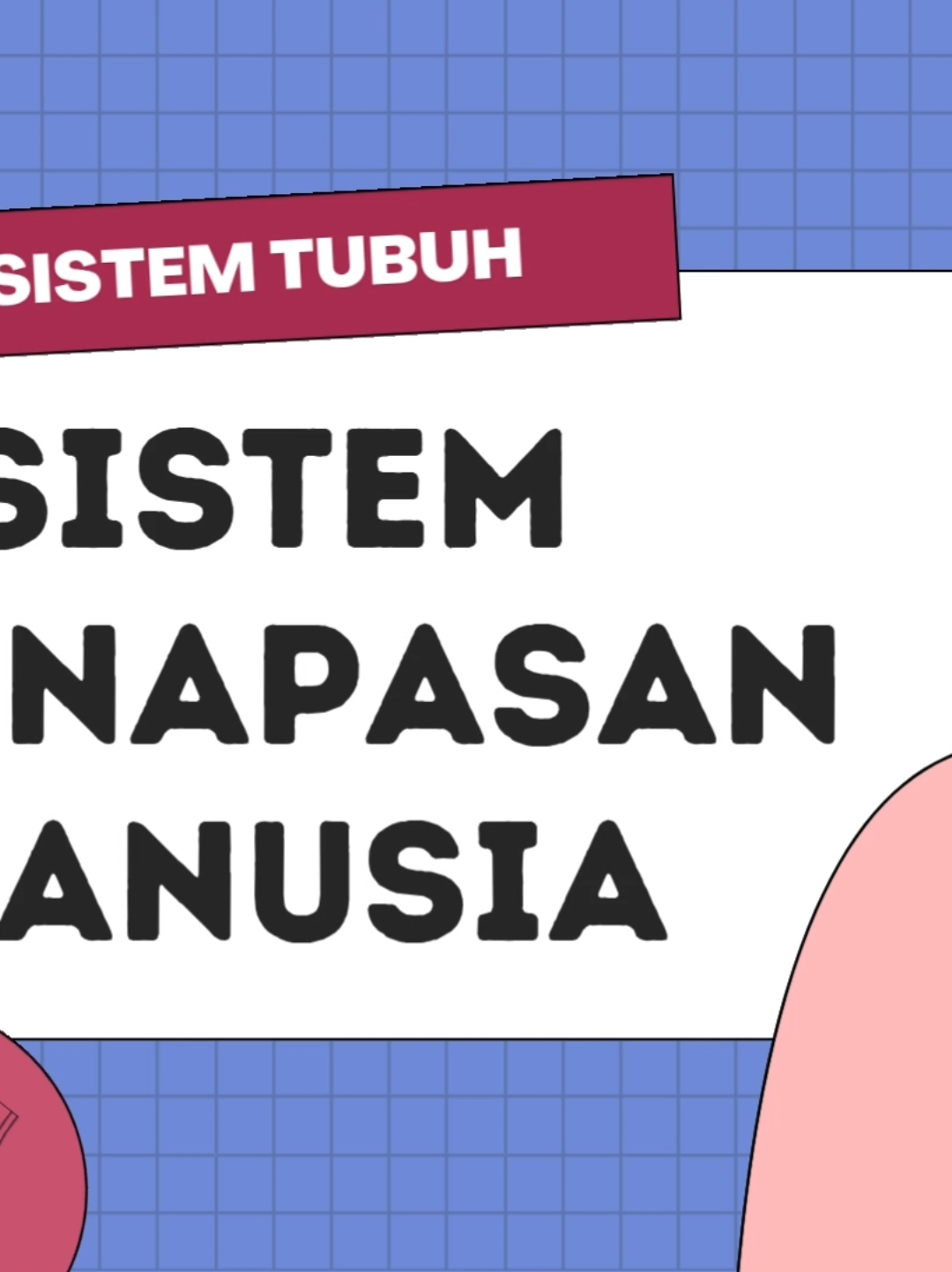 SISTEM PERNAPASAN MANUSIA-KELAS XII #mediapembelajaranbiologi #calongurungonten  #ditarga  #fyp #4u #fyppppppppppppppppppppppp #sistempernapasanmanusia 