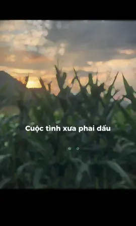 Phai dấu cuộc tình. 