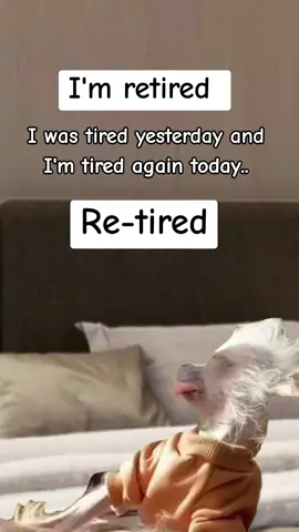 #dankmemes #funnymemes #Meme #MemeCut #CapCut 