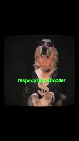 #kendricklamar #dogs #caninearmor 