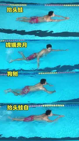 四大优雅野泳，让你成为全场最靓最优雅#野泳 #狗刨 #游泳 #游泳健身 