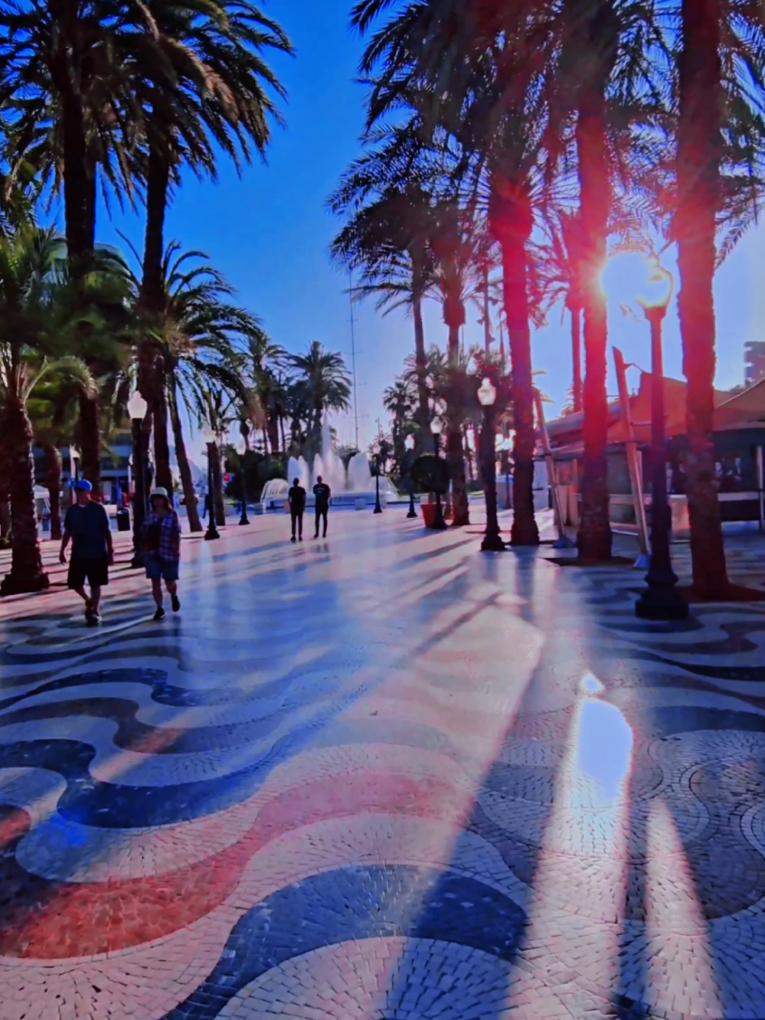 Alicante,Spain🌴🌞🌴🌞🌴 #palmtrees #sun #sea #alicante #costablanca #spain #españa #españa🇪🇸 #spain🇪🇸 #spania🇪🇦 #espagne #travel #travelspain #visitspain #alicantecity #fyp #f 