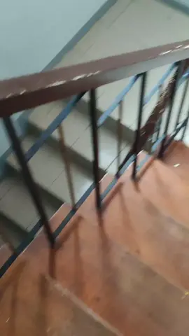 #fyp #catsoftiktok 