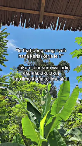 #soundaceh #katakataaceh✨ #storyaceh #masukberandafyp 