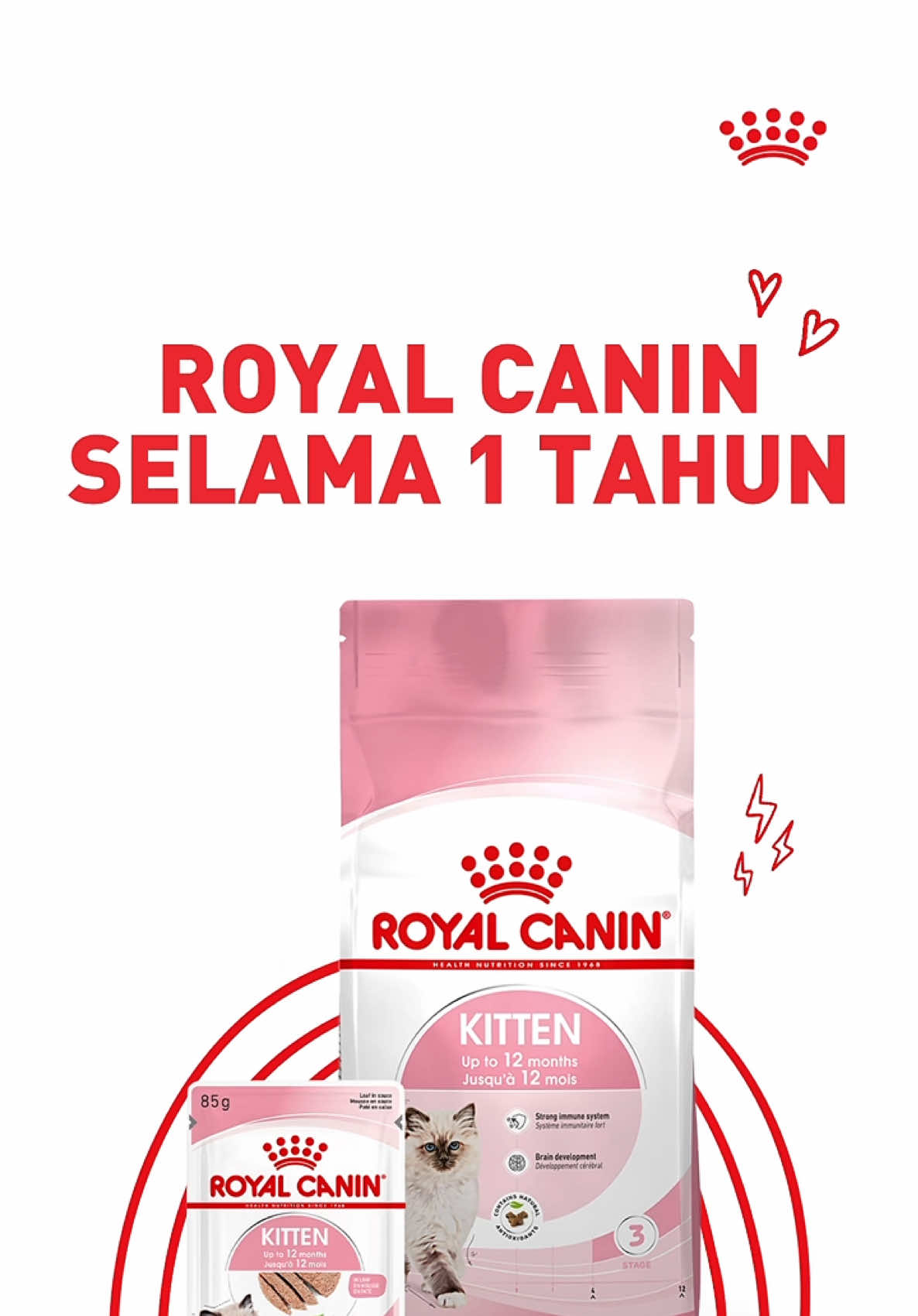 HARI TERAKHIR AUDISI ROYAL CANIN HEALTH ADVOCATE! Yuk langsung daftar di https://royal-canin.id/HealthAdvocate atau langsung klik link di bio, ya! #SehatDimulaiSejakDini