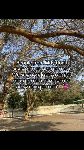 Nww🫶🏼💕#foryou #fypp #yuyamhue #fyp 