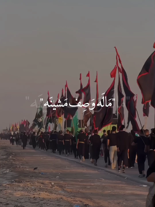 الله رزقنه نمشي🥹🖤🏴. #مشاية_الأربعين  #مشاية_الامام_الحسين #ياحبيبي_ياحسين💔  #يا_أبا_الفضل_العباس💔 #يازينب_الكبرى💔  #يافاطمة_الزهراء💔 #ياصاحب_الزمان💔  #خادم_المذبوح🤎 