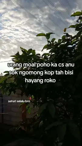 #cs #4u #4upage #fypシ゚viral #csterbaik🙏🙏🙏 
