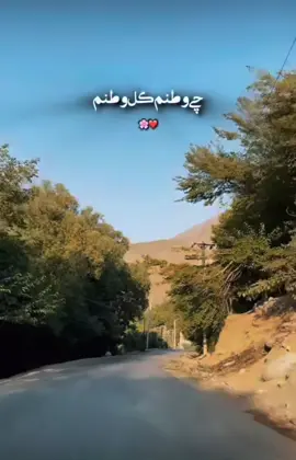 #afghanistan #پنجشیر_زیبا❤ #panjshiri💚🤍🖤 #videoviral #تاجیک_هزاره_ازبک_پشتون_ترکمن🇦🇫❤ #videoviral 