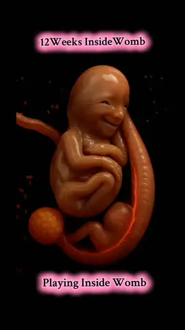 That's How your 12 Weeks baby looks Inside Womb #viralvideo #viraltiktok #12weekspregnant #12weeksold #12weekspregnany #babyinsidebelly #babyinsidemytummy #babyinsidethewomb 