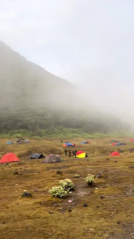Cantik banget surken stelah badai semalam 😍 #basecampgununggede #basecampviaputri #opentrip #pendaki #fyp #fypシ゚viral #basecampageung 