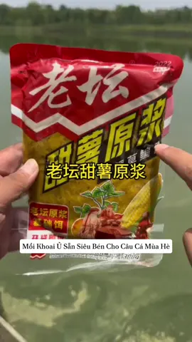 Mồi Khoai Ủ Chua Siêu Bén Cho Câu Cá Mùa Hè #fishing #phukiencauca #caucagiaitri #docauca #moicauca 