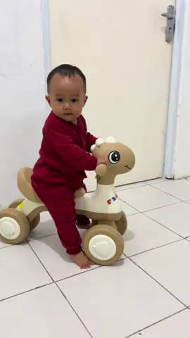 😍 senengnya dapat cepeda balu #sepedaanak #balancebike #sepedaanak1tahun #sepedaanakmurah 