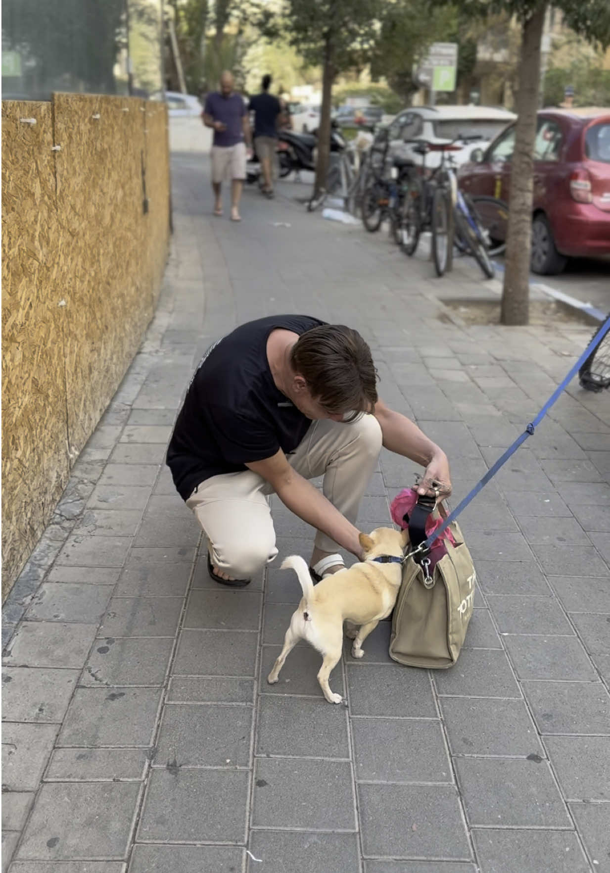 דרורה פוגשת כלב שהזכיר לה את במבי 🥲🐶