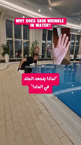 ■يتجعد الجلد في الماء، وخاصة في أصابع اليدين والقدمين، بسبب استجابة ذكية من الجهاز العصبي تهدف إلى تحسين التماسك والقدرة على الإمساك بالأشياء في البيئات المبللة. إليك التفسير العلمي المبسّط: 🔹 السبب الحقيقي ليس أن الجلد يمتص الماء فينتفخ، كما كان يُعتقد سابقًا، بل هو تفاعل عصبي يحدث عندما تغمر أطرافك في الماء لفترة طويلة. 🔹 الأعصاب في أطرافك ترسل إشارات للأوعية الدموية لتتقلص تحت الجلد، مما يؤدي إلى انكماش الطبقات الداخلية وشد الجلد من فوق، فيتشكل التجعد. 🔹 هذا التجعد يساعدك على الإمساك بالأشياء الرطبة أو الزلقة بشكل أفضل، كأنّه إطارات سيارات مصمّمة للطرق المبلّلة! 🧠 الدليل: عندما تتعطّل الأعصاب (في حالات معينة مثل تلف الأعصاب أو بعض الأمراض)، لا يتجعد الجلد حتى لو بقي في الماء طويلًا. إذن، التجاعيد في الماء = خدعة بيولوجية ذكية لتحسين الأداء! ■Skin wrinkles in water—especially on the fingers and toes—due to a smart response from the nervous system designed to improve grip in wet environments. Here’s a simplified scientific explanation: 🔹 The real reason isn’t that the skin absorbs water and swells, as once believed. Instead, it's a neural reaction that occurs when your extremities are submerged in water for a while. 🔹 Nerves in your fingers and toes send signals that cause blood vessels beneath the skin to constrict. This pulls the skin inward, creating wrinkles. 🔹 These wrinkles help you grip wet or slippery objects better, much like how tire treads work on wet roads. 🧠 Evidence: In people with damaged nerves (due to certain medical conditions), the skin doesn’t wrinkle in water—proving the role of the nervous system. So, wrinkly skin in water = a clever biological trick to boost your performance! #fypシ゚viral #viralvideo #reels #fyp #fypage #tiktok #fypシ 