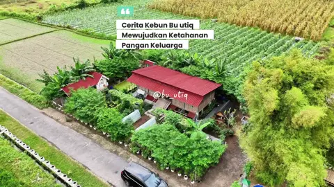 Dari kebun ini menciptaka harmoni di keluarga kami😊 yuk mulai berkebun ❤️#BuUtiqBerkebun #swasembadapangan #swasembadapangnkeluarga 