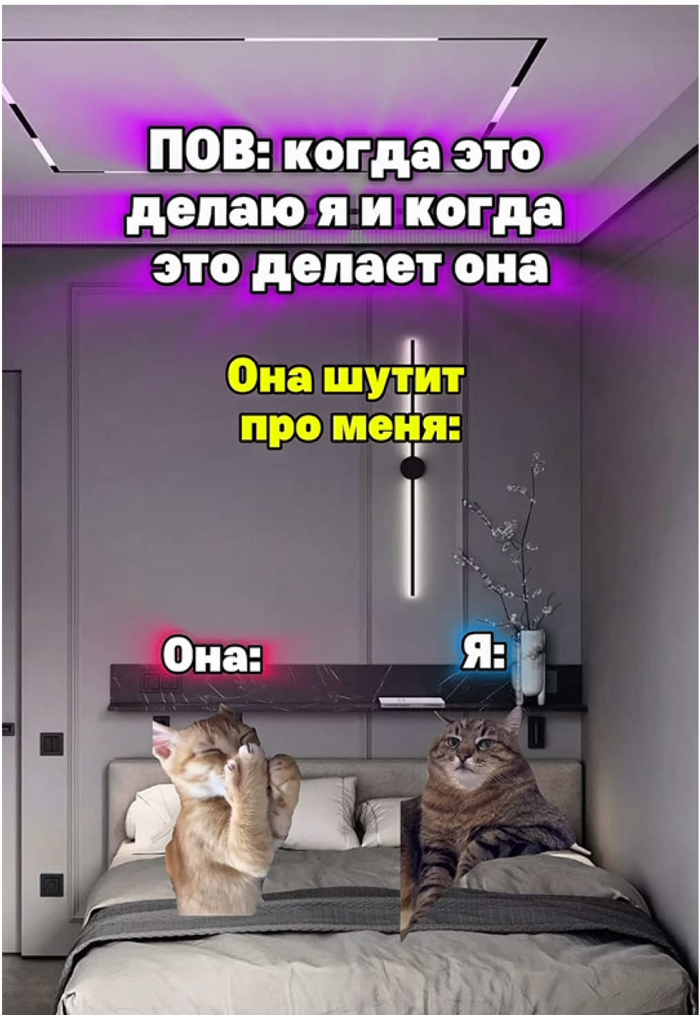 Жиза?🤣 #котята #мемы #жиза 