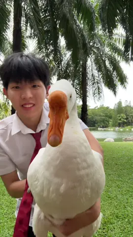 ไอว่อนยู
