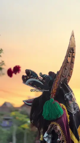 Sunset Barongan Ndas Abang  #newwijoyoputrosumberkepuh #sunset #singobarong #jaranantiktok #kudalumping 