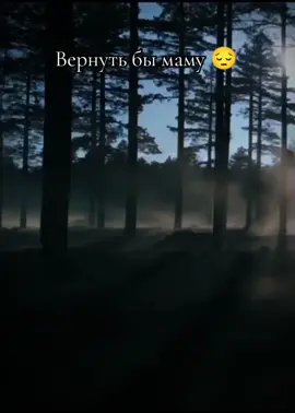 #вернутьбымаму 