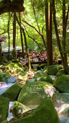 夏はこういう避暑地に行きたくなる🎐🌿他に夏オススメのスポットあったらコメントで教えてください！ . 📍福岡 朝倉 / だんごあん . #だんごあん #夏 #福岡 #九州 #旅行