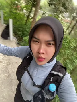 Kumut kumut