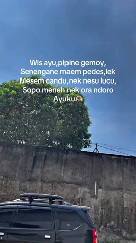 🥰🥰#sindenrawit #sambayu #gigaherexstyle🙌🔥😎 #fypforyoupage #herextiktok #pesoanadrivermuda #bukitjayavariasi 
