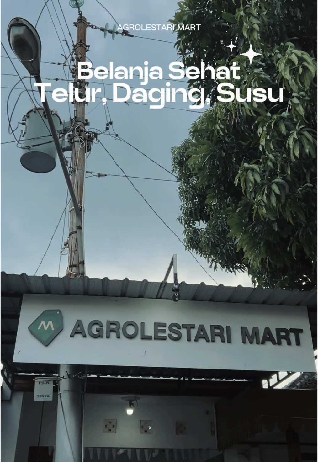 Yuk ganti ke gaya hidup yang sehat dengan pangan sehat! Agrolestari Mart hadir untuk memenuhi kebutuhan pangan sehat di Yogyakarta 🌿 Susu, telur, dan daging kami selalu ada setiap hari ✨ 📍Agrolestari Mart | Ngaglik 📍Agrolestari Mart 2 | Sonosewu ☎️ 0882-2415-6507 Outlet Ngaglik Senin–Sabtu: 08.00–19.00 Minggu: 08.00–16.00 Outlet Nitipuran Senin-Sabtu: 08.00-16.00 Minggu: Libur #AgrolestariMart #BelanjaSehat #PanganSehat #ProdukLokal #PetaniLokal #PeternakLokal #FarmToTable #DariPeternakanKeMejaMakan #SusuSegarJogja #TelurSehat #FrozenFoodJogja #GayaHidupSehat #BelanjaMudah #MakananSehat #HealthyLifestyle #JogjaSehat