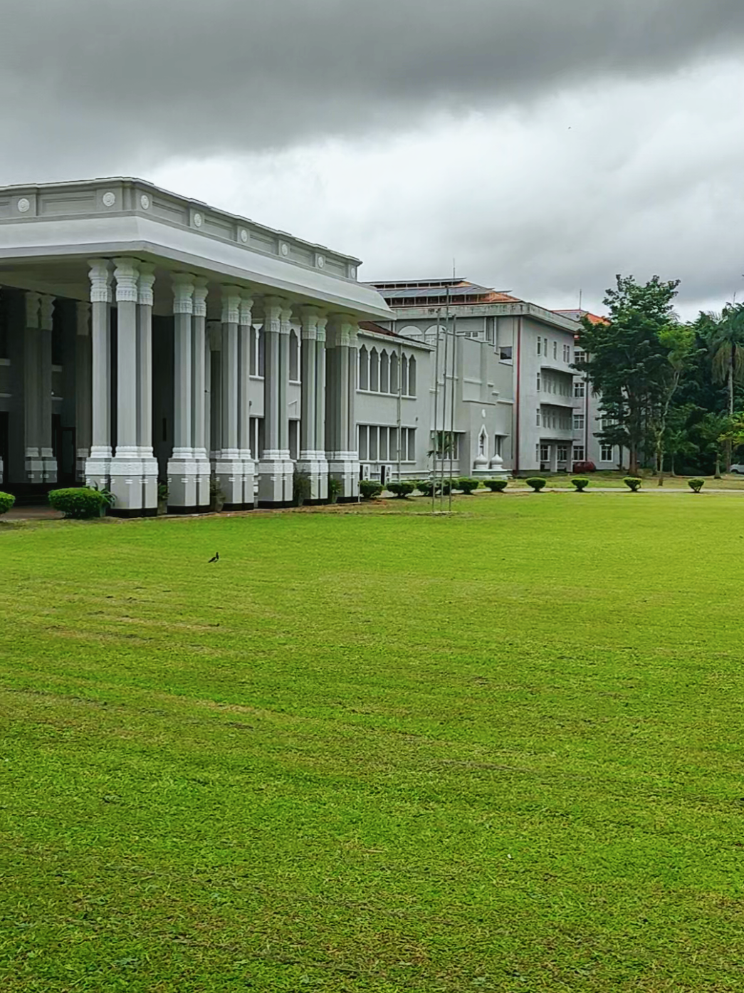 Faculty of Engineering, Universiry of Peradeniya❤️ #universityofperadeniya #uop #foryou #foryoupage #fyp #nature #explore #pera 