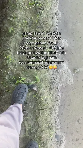 melu itungane tonggo #petanimuda #wongtani #wongsepele #petanimilenial 