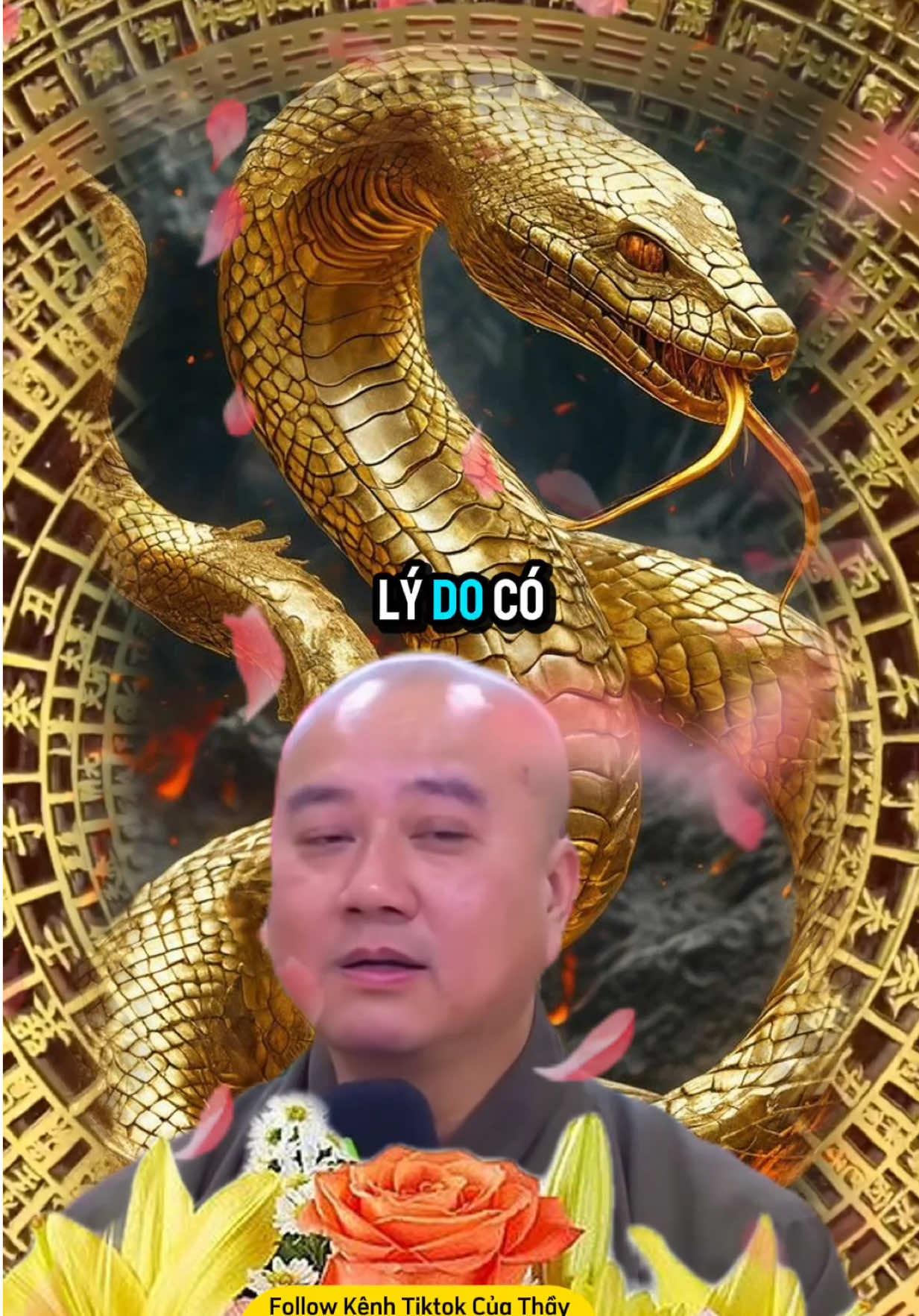 Tuổi Tụ à con#tuoity #tuvi #mayman #thaythichphaphoa #labode #labodephongthuy #labode12congiap 