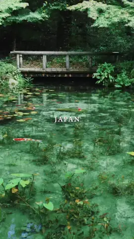 ▽My Travel List in Japan🇯🇵▽ . . 📍Here are my recommendations. If there’s any spot in the video that catches your eye, let me know in the comments! 🎥 @mkxpresar  | | ・伊根の舟屋, Ine no Funaya -Kyoto ・さきたま古墳公園, Sakitama Ancient Mounds -Saitama ・奈良井宿, Naraijuku -Nagano ・秋芳洞, Akiyoshido -Yamaguchi ・奈良公園, Nara park -Nara ・赤沢森林鉄道, Akazawa Forest Railway -Nagano ・豊岬金比羅神社, Toyosaki Konpira Shrine -Hokkaido ・和歌山城, Wakayama Castle -Wakayama ・久遠寺, Kuonji Temple -Yamanashi ・尾道, Onomichi -Hiroshima ・八坂の塔, Yasaka -Kyoto ・伏見稲荷大社,Fushimi Inari Taisha -Kyoto ・桜井二見ヶ浦, Sakurai Futamigaura -Fukuoka ・新倉浅間神社, Arakura Fuji Sengen Shrine -Yamanashi ・貴船神社, Kifune Shrine -Kyoto ・城南宮, Jonangu -Kyoto ・熊野古道, Kumano kodo -Wakayama ・箱根神社, Hakone Shrine -Yamanashi ・八幡堀, Hachiman bori -Shiga ・浅草, Asakusa -Tokyo ・飛火野, Nara park -Nara ・筏下り, Rafting -Wakayama ・平泉白山神社, Heisenji Hakusan Shrine -Fukui ・城崎温泉, Kinosaki Onsen -Hyogo ・富士山, Mt.Fuji - Yamanashi ・灯花会, Nara Tokae Festival -Nara ・頭大仏, Hill of the Buddha -Hokkaido ・上高地, Kamikochi -Nagano ・元乃隅神社, Motonosumi Shrine -Yamaguchi ・那智の火祭り, Nachi Fire festival -Wakayama ・丸池様, Maruikesama -Yamagata ーーーーーーーーーーーーーーーーーーーーーーーーーーー #visitjapan #japan #japantravel #japantrip #anime #animejapan #japananime #japantourism #japantour #japangram #japan #traveljapan #tripjapan #torii #toriigate #traveljapan  #japan #2025