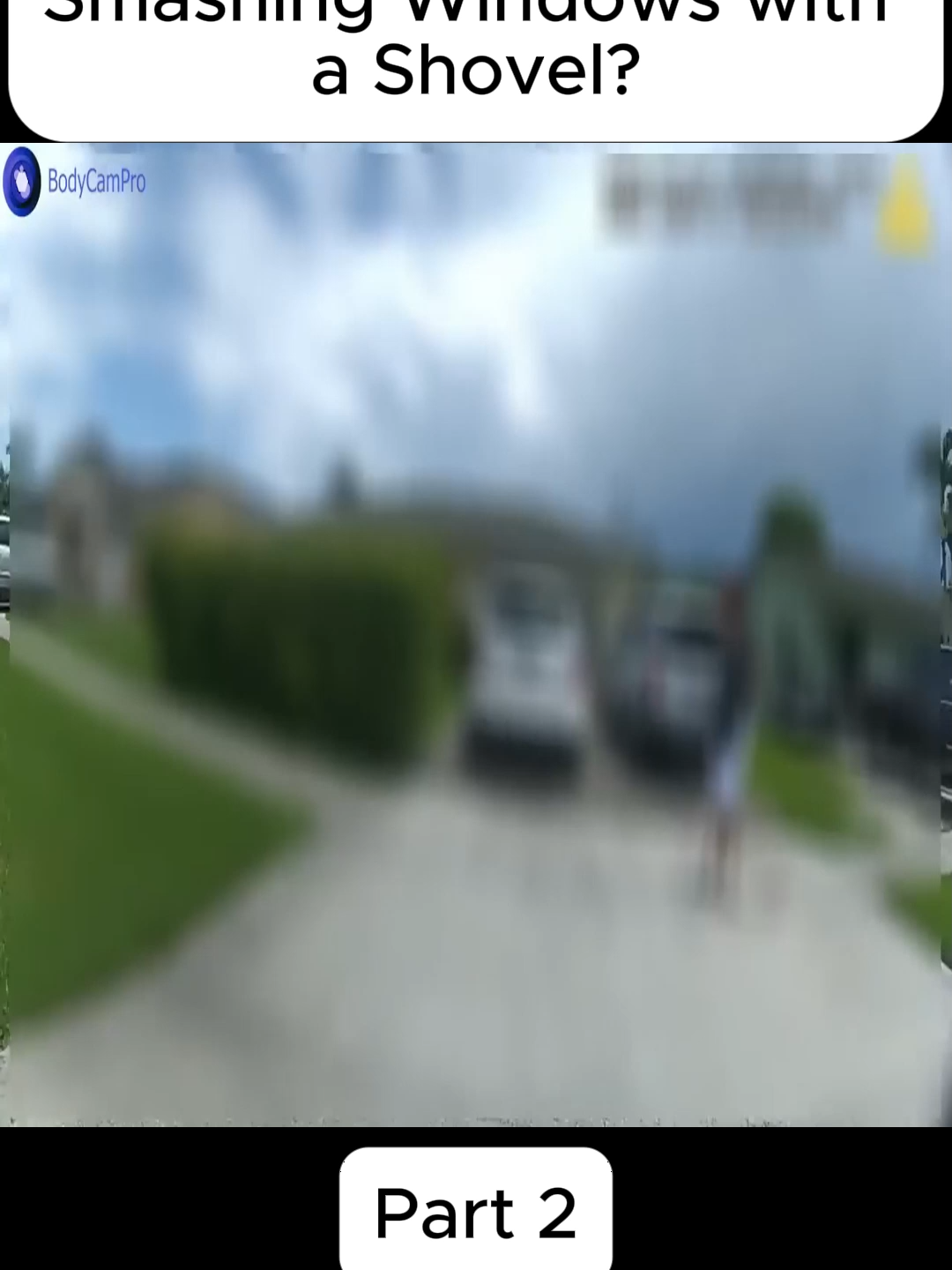 Why Was This Woman Smashing Windows with a Shovel?#bodycam #cops #police
