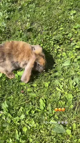 #😍😍😍
