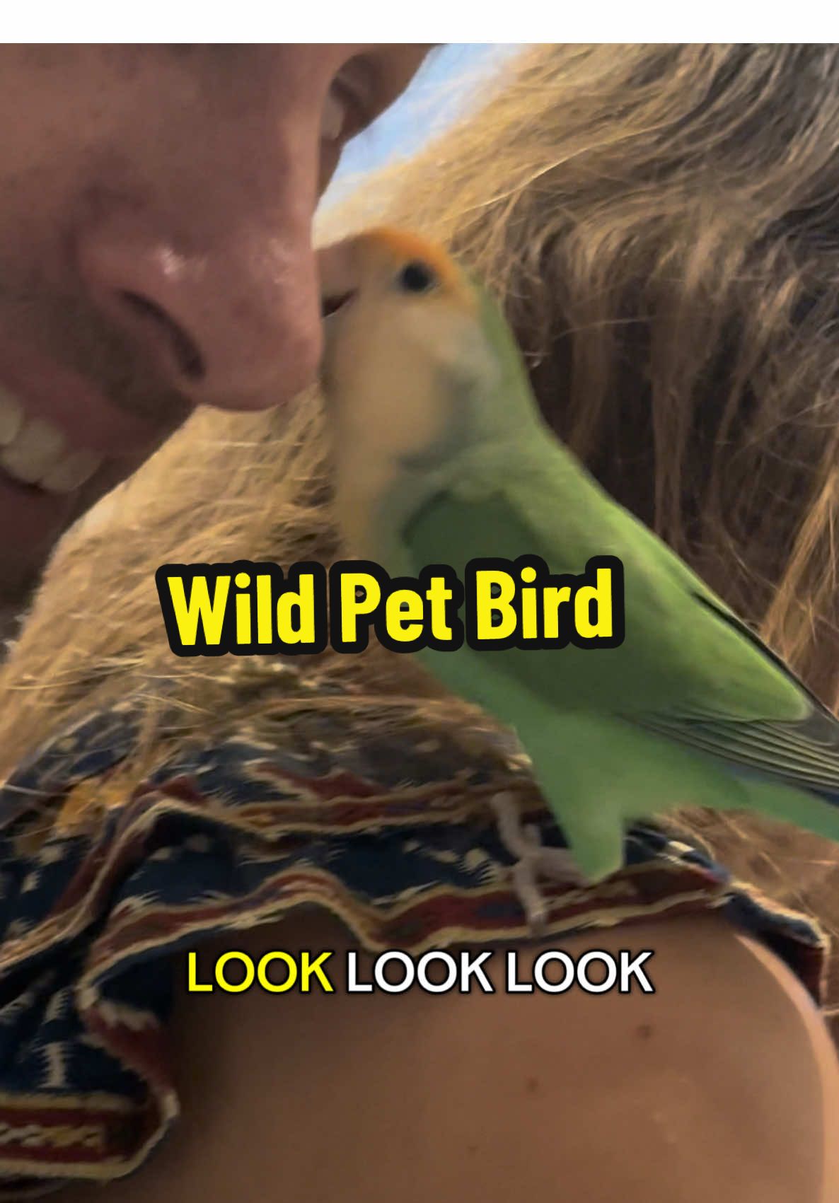 How our best friends @Christina Ross found their pet bird in the wild. Hint: it just randomly flew onto their heads and stayed there! #storytime #pets #bird 