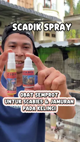 scabies & jamur tuntas menggunakan scadik oles atau semprot #obatscabies #obatjamur #scadik #obatkelinci #obatkucing 
