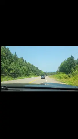 I find everything outside so pretty no matter how boring others think it is. I need to go on a walk in the woods SO BAD but I ain't got no one to go with 💔 my summer plans for fucked low key. but life goes on :) 