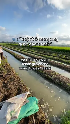 tulongg guyonane ngawueriiii🤣  #storytime #storycidro #jowopride #fyp #fypdong #tulungagungtiktok 
