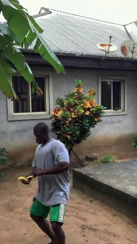 Please brother, show them your prime one more time.                                    Hundred men vs one sliver back gorilla 
