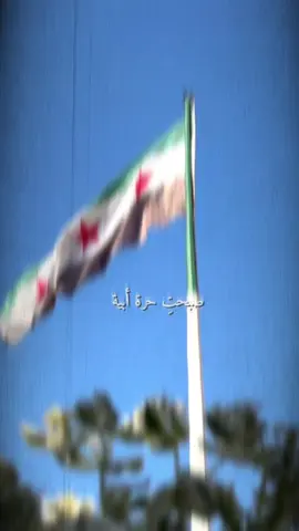 أنعم الله علئ بلاد الشام..