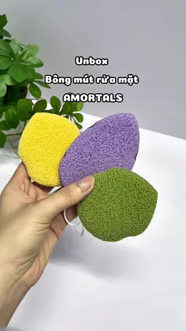 Combo 3 miếng rửa mặt bọt biển AMORTALS #unbox#amortals#miengruamat #chamsocda#jyp 