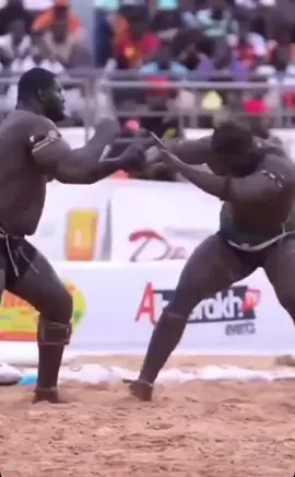 #lamb #siteuvsballagaye2 #combat balla gaye2 vs siteu #pourtoi #siteu #senegalaise_tik_tok #troll 