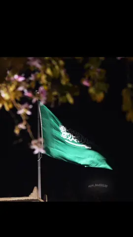 ي بلادي واصلي🇸🇦💚#السعوديه_الرياض_حايل_جده_القصيم_بريده #saudiarabia🇸🇦 #السعوديه🇸🇦💚 #لبنان_مصر_الخليج_سوريا #جيزان #jeddah🇸🇦 #🇸🇦🇸🇦🇸🇦🇸🇦🇸🇦🇸🇦🇸🇦❤️ #الرياض #الثبيتي_العتيبي #تصميم_فيديوهات🎶🎤🎬 #وطني_الغالي #الرياض_جده_مكه_الدمام_المدينه_الخرج_أبها #محمد_بن_سلمان_فخرنا_وعزنا💚👑🇸🇦 