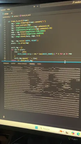 Farmando Aura #dev #aurafarming #programacao #python 