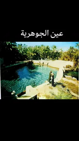 صورة قديمة بالأحساء، هي صورة ثابتة وتم تحريكها بالذكاء الإصطناعي.