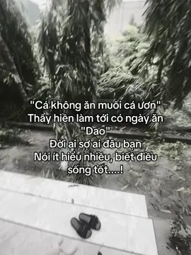 #viral #fyp #caphay #xuhuong 