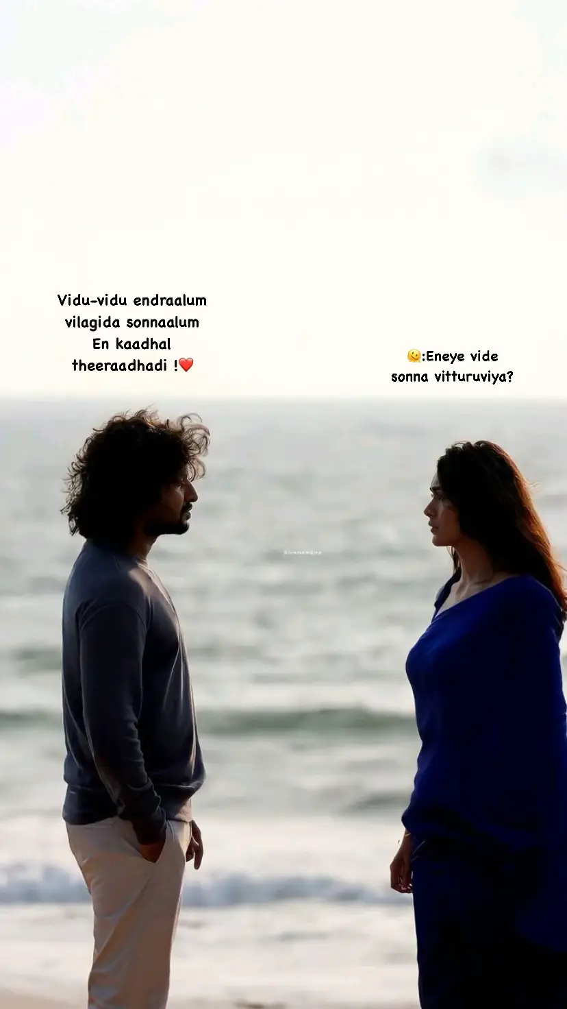 What if he replies this to you girls?🥹🩵🪬#sharvinaa2707 #sidusidu #romeo #trending #vijayantony #Love #forever #fypシ 